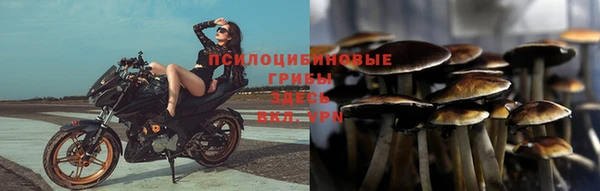 mdpv Баксан